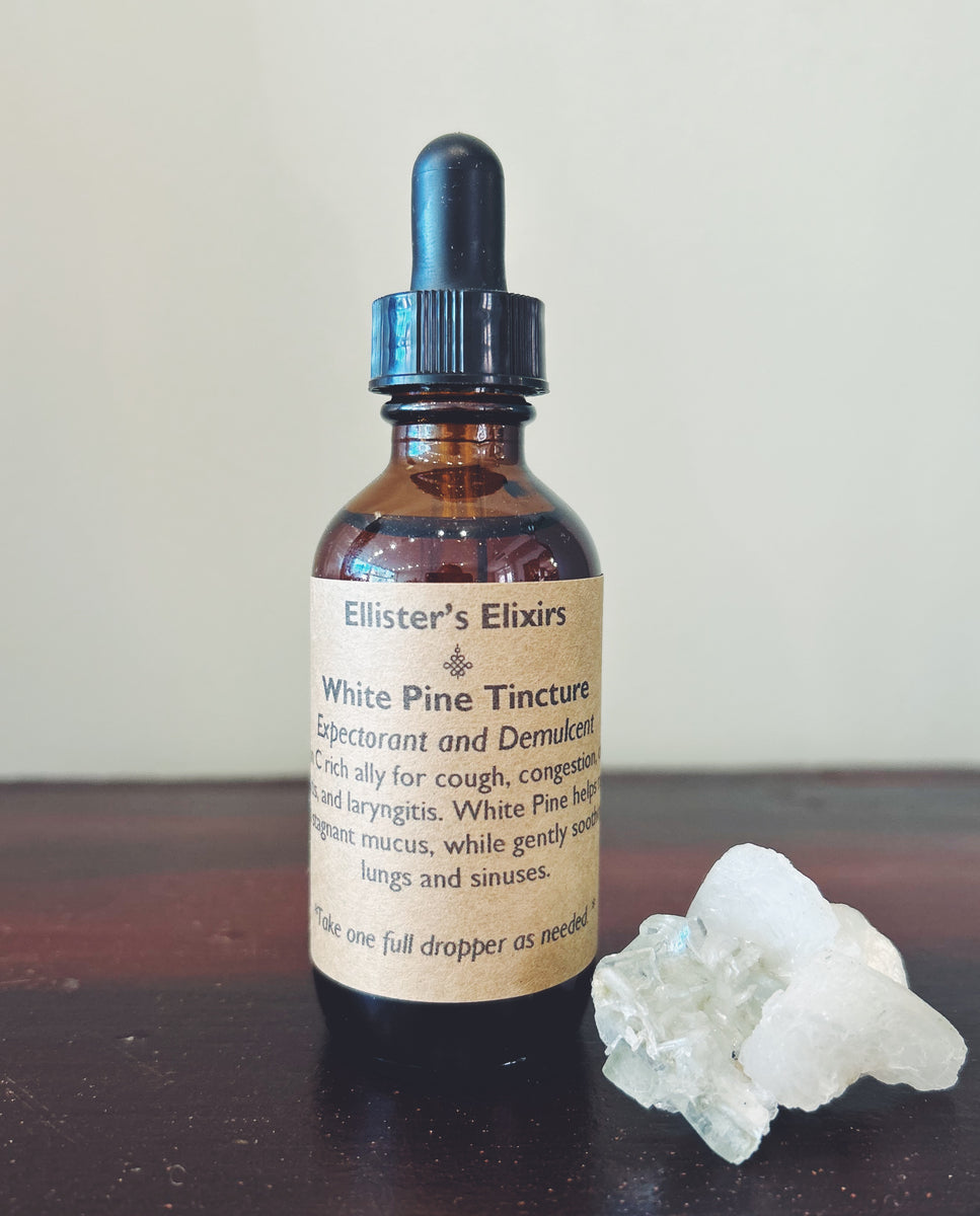 White Pine Tincture Ellister's Elixirs