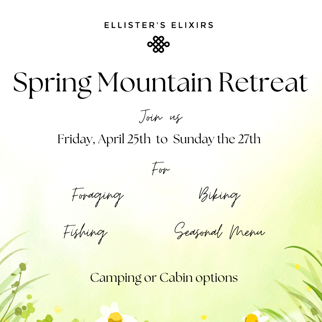 Spring Mountain Retreat Cabin Loft Ticket