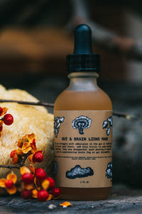 Gut and Brain Lion's Mane Tincture