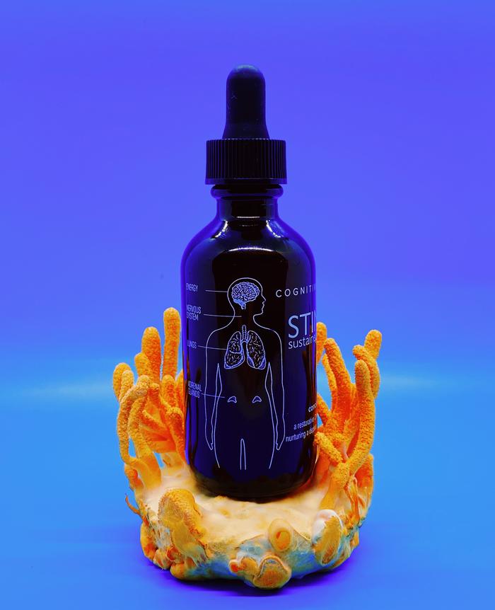 Stimulate ⇪ Cordyceps Mushroom